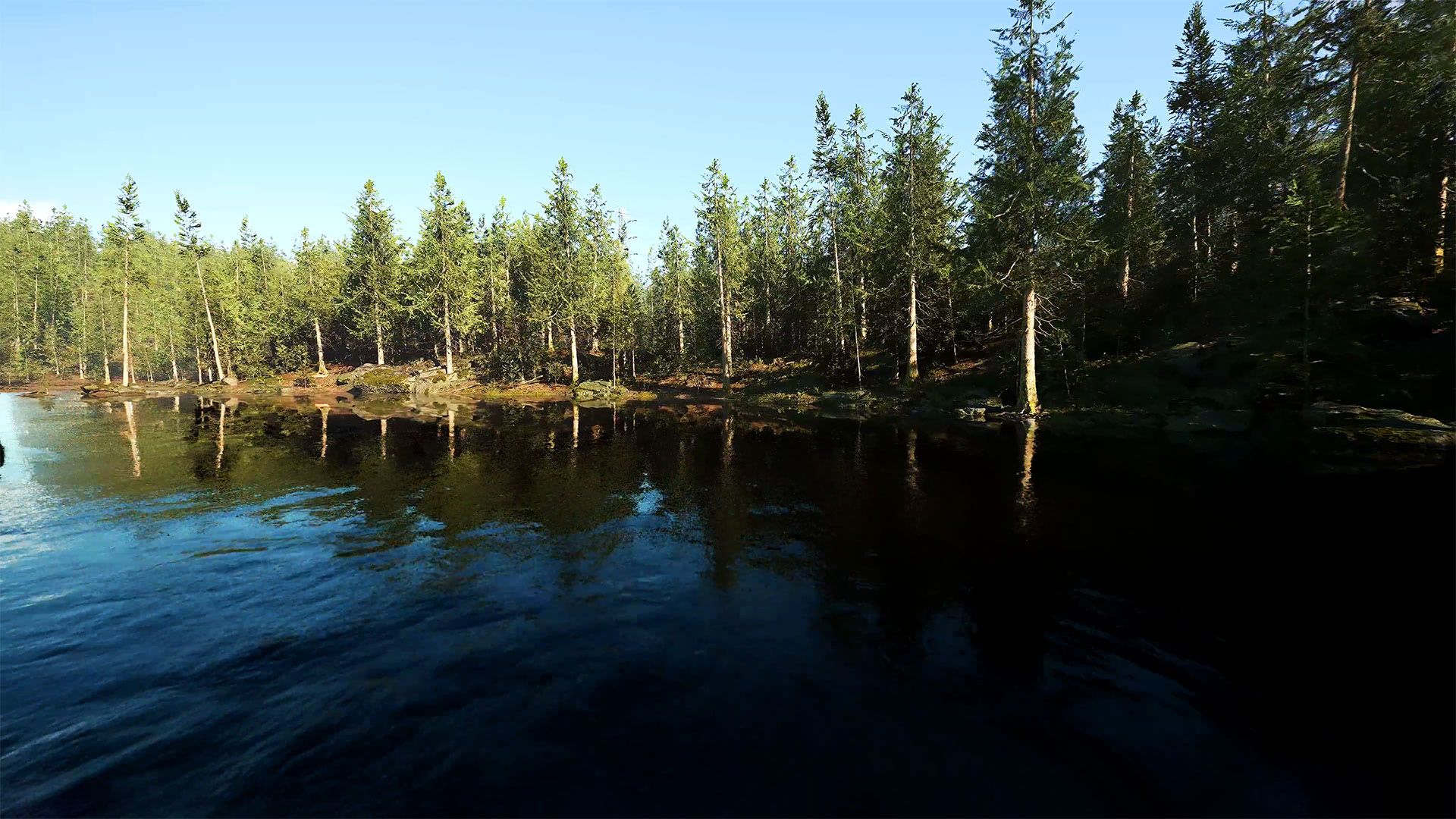 3D render of a river running through spruce forest along a proposed transmission corridor, native vegetation modelled to the tree line