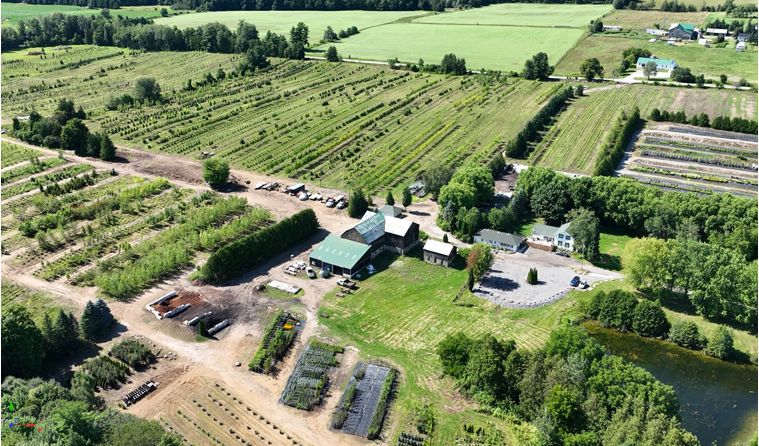 Aerial photograph of a farm property with fields, tree lines, outbuildings and a road running through it